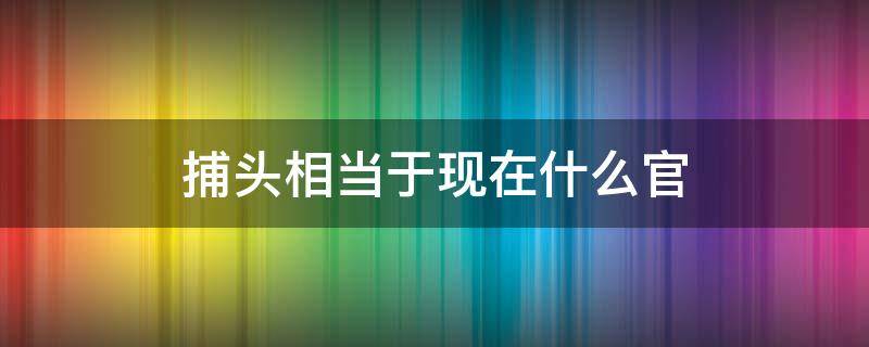 捕头相当于现在什么官（捕头相当于现在什么官职）