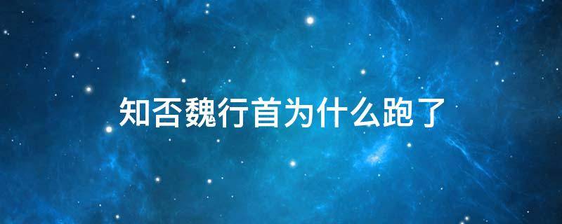 知否魏行首为什么跑了（知否知否里的魏行首真实身份）