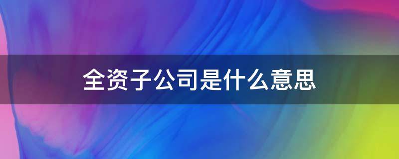 全资子公司是什么意思 间接全资子公司是什么意思
