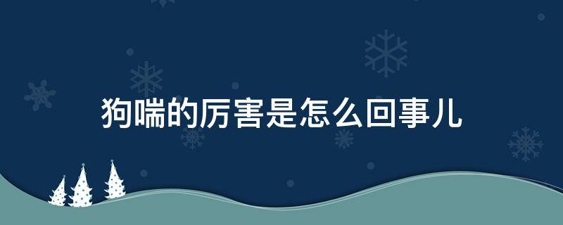 狗喘的厉害是怎么回事儿 狗狗喘怎么回事