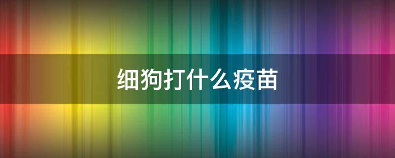 细狗打什么疫苗 细狗疫苗怎么打