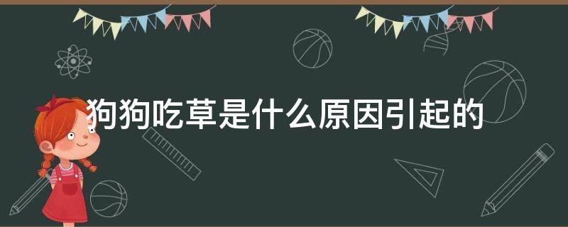 狗狗吃草是什么原因引起的 狗狗经常吃草是什么原因