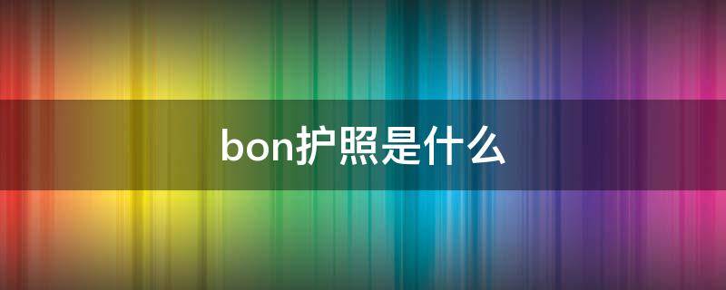 bon护照是什么（bno护照是啥意思）