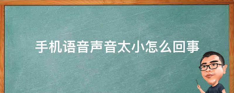 手机语音声音太小怎么回事（手机语音声音太小了 什么原因啊）