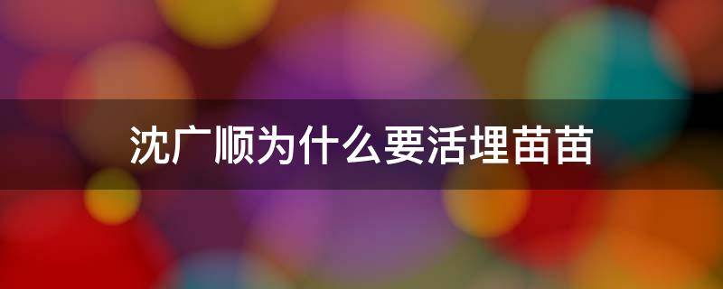 沈广顺为什么要活埋苗苗（沈广顺两口子为啥不找苗苗）