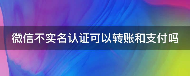 微信不实名认证可以转账和支付吗（微信不实名认证可以转账和支付吗安全吗）