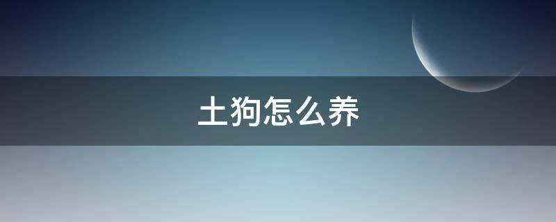土狗怎么养（农村土狗怎么养）