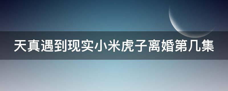 天真遇到现实小米虎子离婚第几集（天真遇到现实小虎和小米吵架第几集）