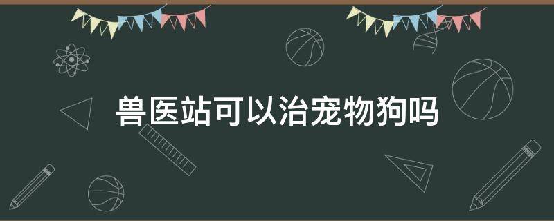 兽医站可以治宠物狗吗（农村兽医站能治宠物吗）