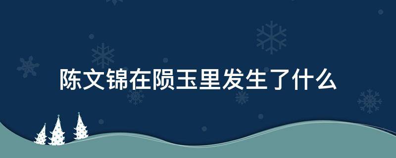 陈文锦在陨玉里发生了什么 陈文锦进入陨玉发生了什么