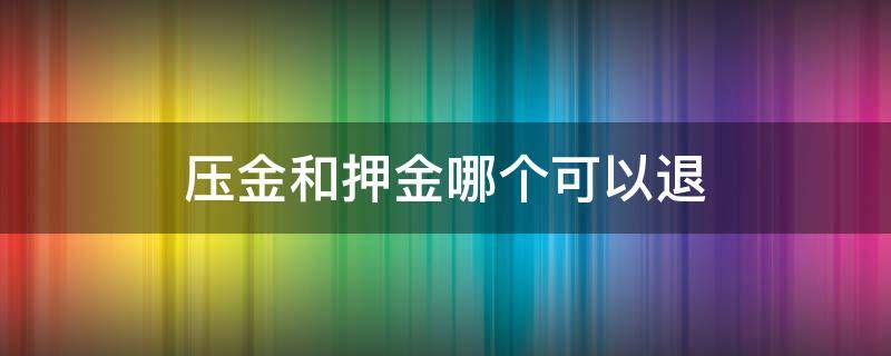 压金和押金哪个可以退（什么是押金押金能退吗）