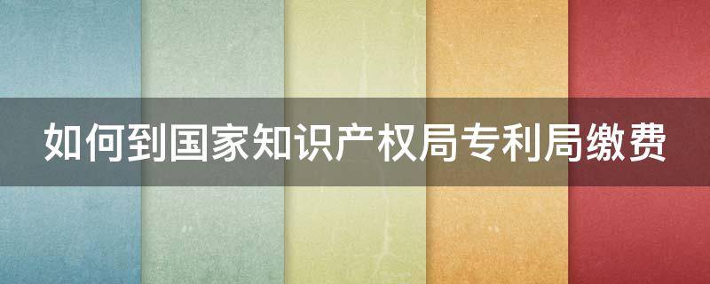 如何到国家知识产权局专利局缴费（如何到国家知识产权局专利局缴费呢）