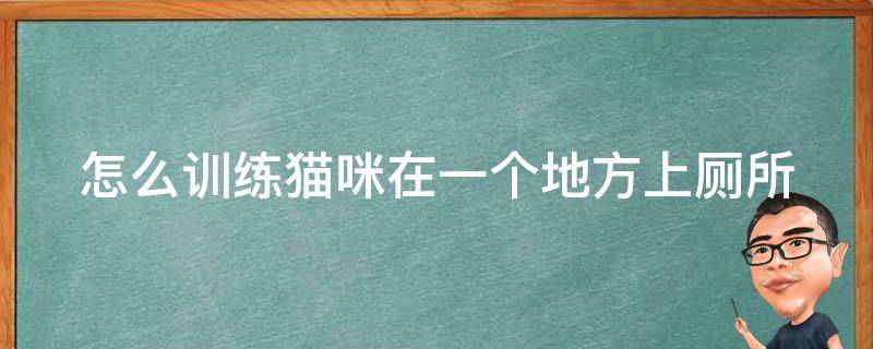 怎么训练猫咪在一个地方上厕所（怎么训练猫在一个地方拉屎）