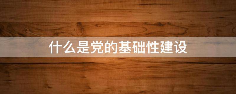 什么是党的基础性建设（什么是党的基础性建设 什么是党的根本性建设）