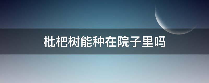 枇杷树能种在院子里吗（枇杷树能栽院子里吗）