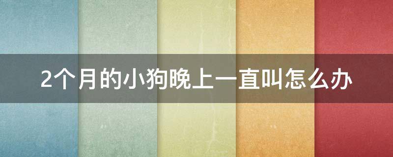 2个月的小狗晚上一直叫怎么办（两个月的小狗晚上叫怎么办）