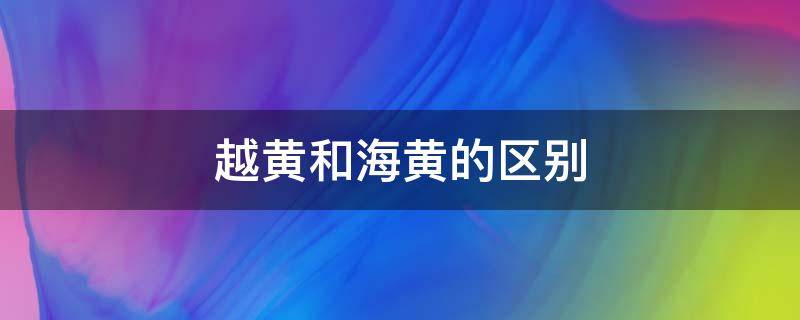越黄和海黄的区别 海黄与越黄