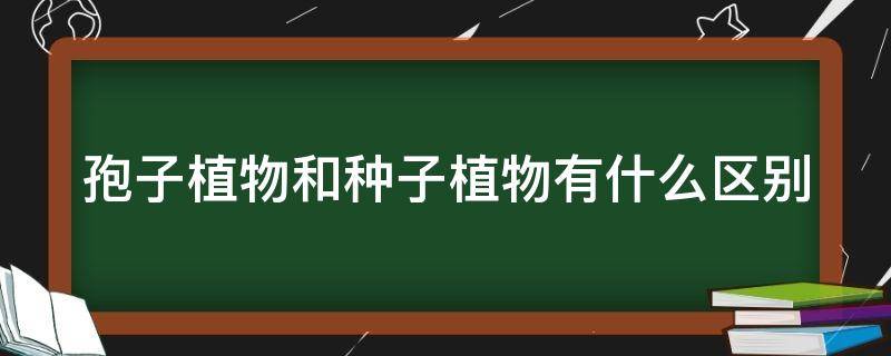 孢子植物和种子植物有什么区别 孢子植物和种子植物有什么区别两种