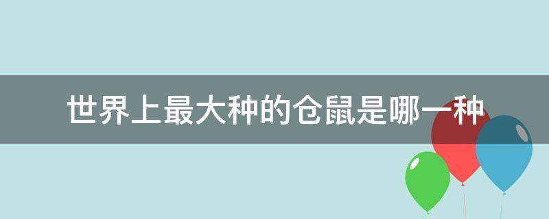 世界上最大种的仓鼠是哪一种（世界上最小的仓鼠是什么品种）