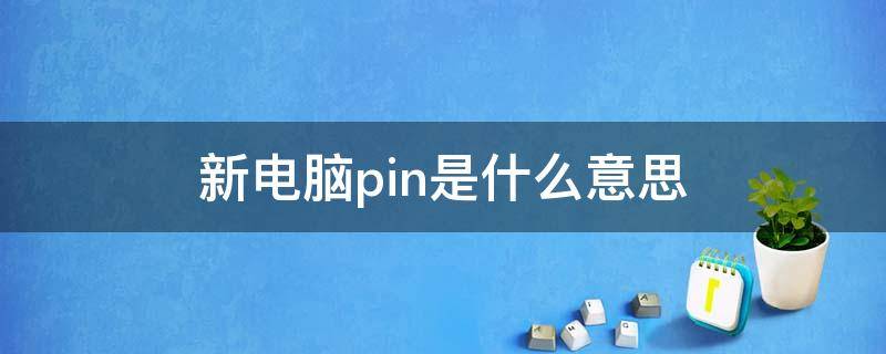 新电脑pin是什么意思 电脑pin啥意思