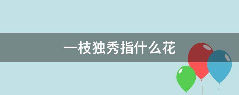 一枝独秀指什么花（一枝独秀指的是什么花）