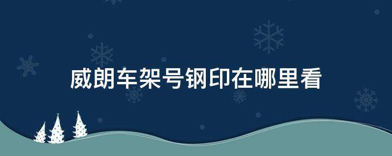 威朗车架号钢印在哪里看（威朗拓印车架号在什么位置）