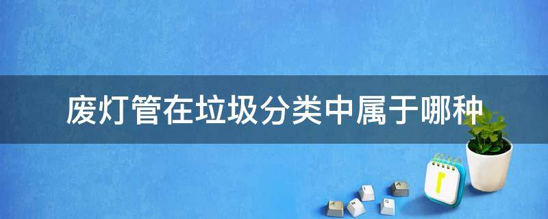 废灯管在垃圾分类中属于哪种 废灯管在垃圾分类属于哪一种