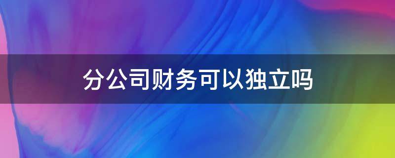 分公司财务可以独立吗 分公司可以独立财务核算吗