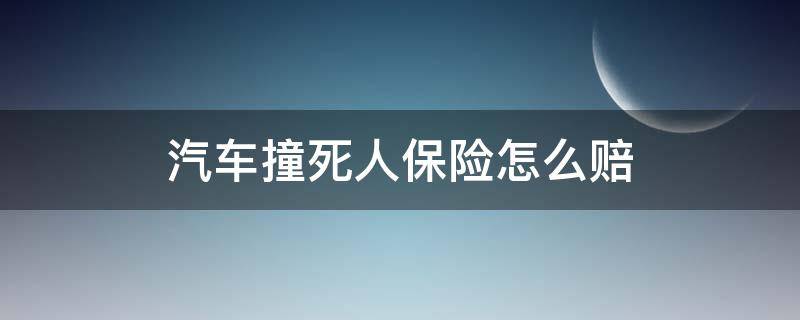 汽车撞死人保险怎么赔（汽车撞死人保险赔吗）