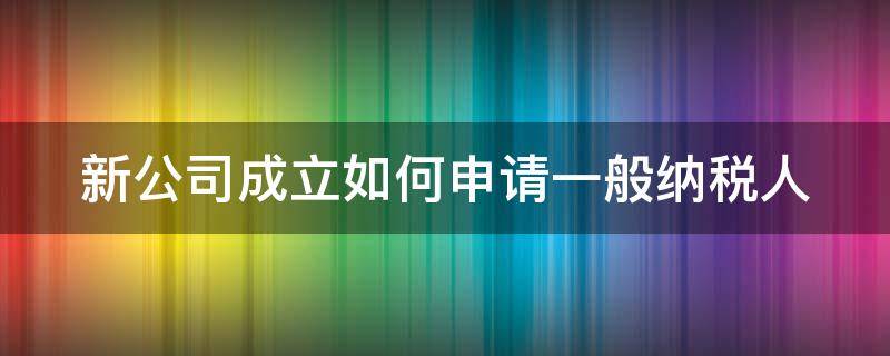 新公司成立如何申请一般纳税人 新公司成立如何申请一般纳税人资质