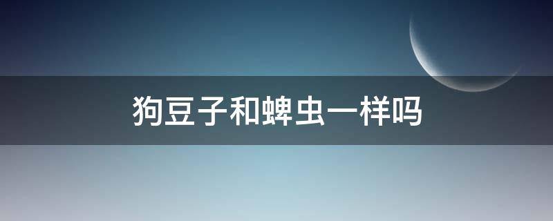 狗豆子和蜱虫一样吗 狗豆子和蜱虫是一回事吗