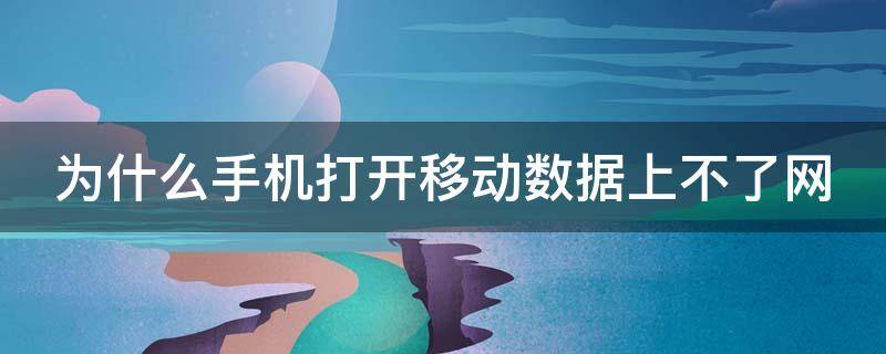 为什么手机打开移动数据上不了网（为什么手机打开移动数据上不了网了）