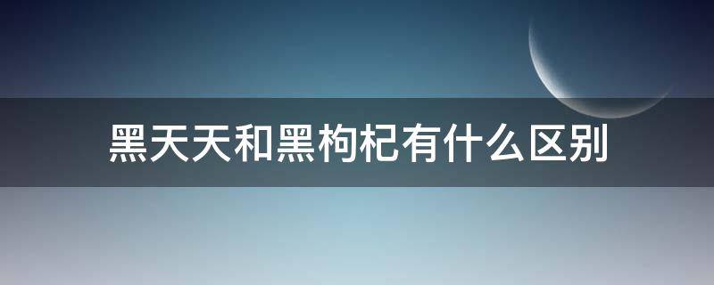 黑天天和黑枸杞有什么区别（干黑天天和黑枸杞有什么区别）