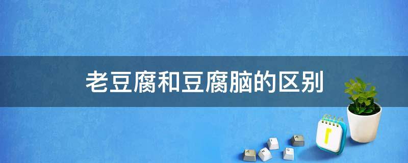 老豆腐和豆腐脑的区别 天津老豆腐和豆腐脑的区别