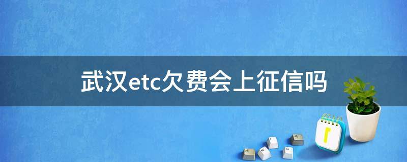 武汉etc欠费会上征信吗 武汉etc欠费会上征信吗?怕不怕