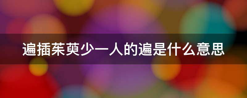 遍插茱萸少一人的遍是什么意思 遍插茱萸少一人的遍是什么意思解释