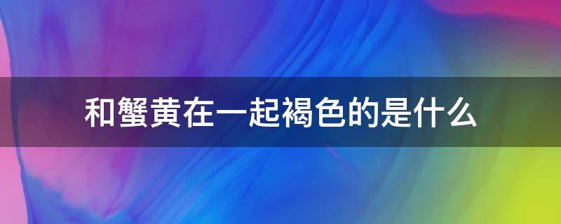 和蟹黄在一起褐色的是什么（螃蟹褐色的是不是蟹黄）