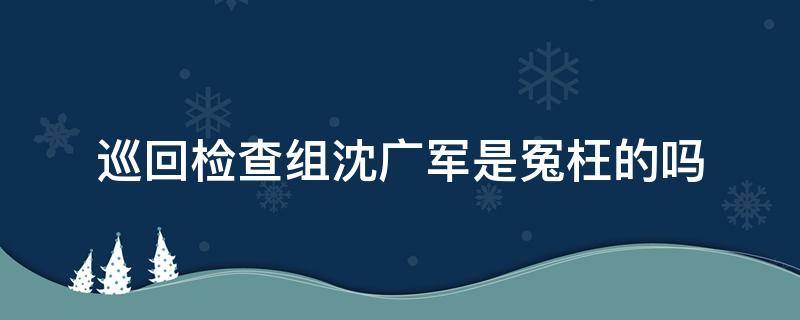 巡回检查组沈广军是冤枉的吗（巡回检查组沈广军到底怎么了）