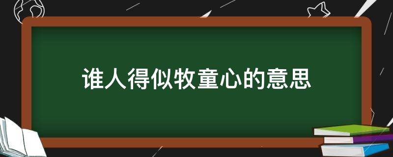 谁人得似牧童心的意思（谁人得似牧童心的意思的全诗）