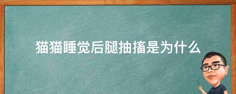 猫猫睡觉后腿抽搐是为什么 猫咪睡觉后腿老是抽搐