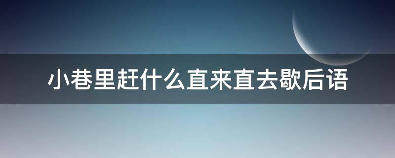 小巷里赶什么直来直去歇后语 小巷里抬竹竿打一歇后语