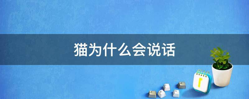 猫为什么会说话 瑞克和莫蒂第四季那只猫为什么会说话