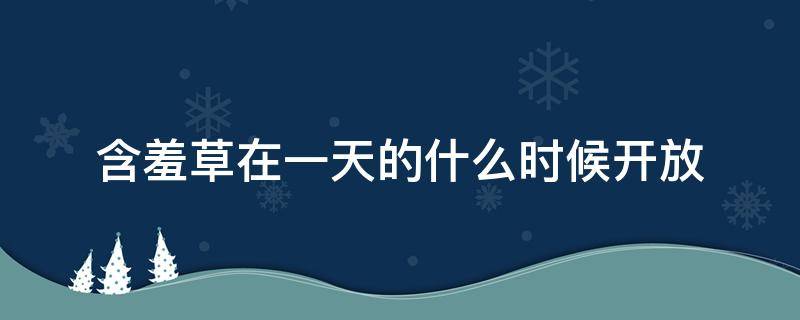 含羞草在一天的什么时候开放 含羞草每天开放时间