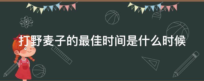 打野麦子的最佳时间是什么时候（打野麦子什么时候打最好?）