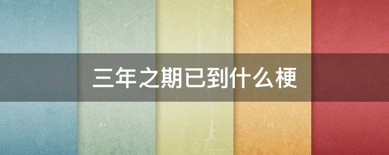 三年之期已到什么梗（三年之期是什么梗）