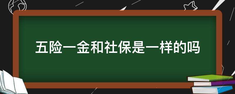 五险一金和社保是一样的吗（五险一金和社保有什么不一样）