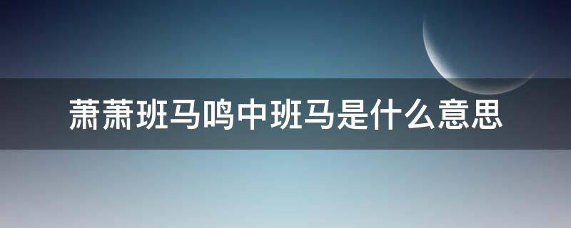 萧萧班马鸣中班马是什么意思（挥手自兹去萧萧班马鸣中班马是什么意思）