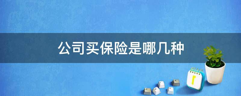 公司买保险是哪几种 公司买的保险属于什么保险