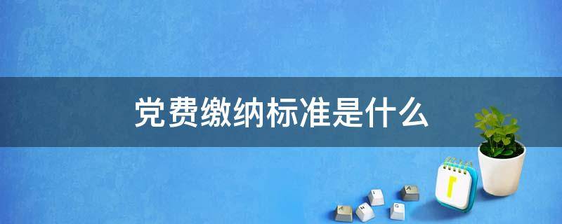 党费缴纳标准是什么（缴纳党费的标准）