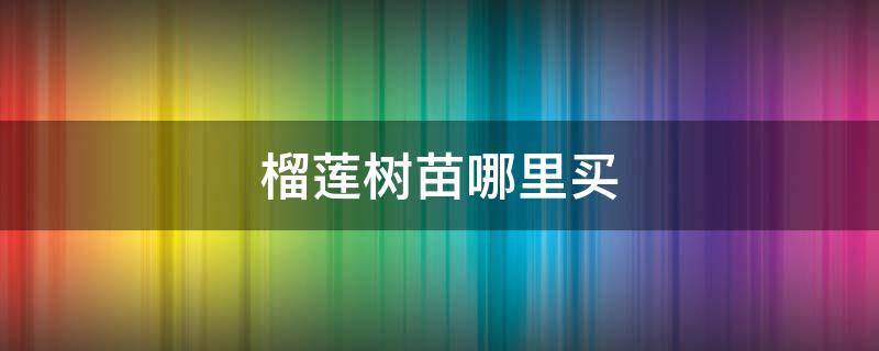 榴莲树苗哪里买 榴莲果苗哪里有卖